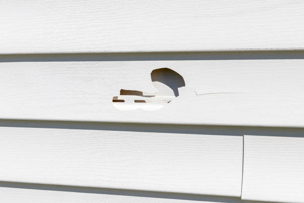 Best Custom Trim and Detailing for Siding  in Gustine, CA