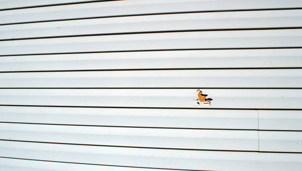 Best Custom Trim and Detailing for Siding  in Gustine, CA