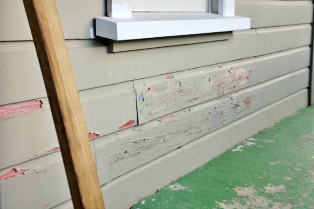 Best Fascia and Soffit Installation  in Gustine, CA